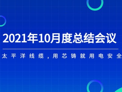 河南太平洋線纜月度總結會議